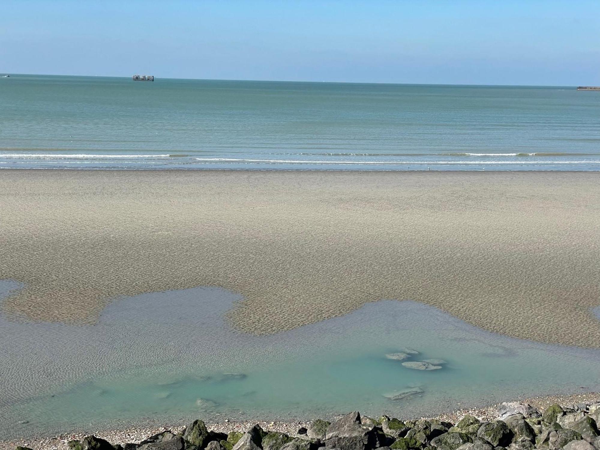 Villa Face Mer Aux Magnifiques Couchers De Soleil 5 Mn De Nausicaa Boulogne-sur-Mer Extérieur photo